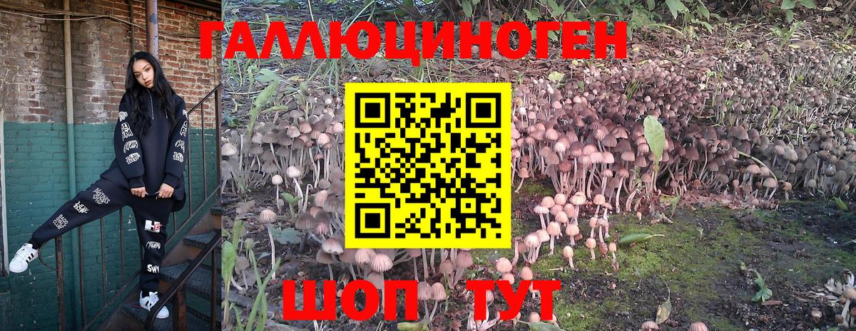 Галлюциногенные грибы ЛСД  наркошоп  Вход с VPN  Майский  Псилоцибиновые грибы MAGIC MUSHROOMS 